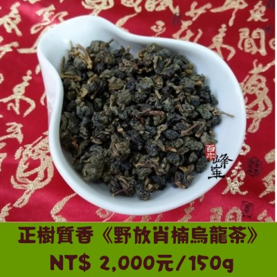 【野放肖楠烏龍茶】正樹質香150g