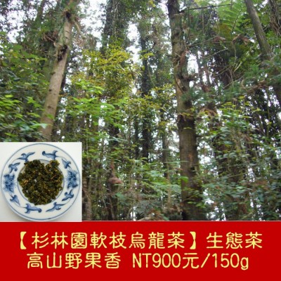 【杉林園軟枝烏龍茶】高山野果香900元/150g